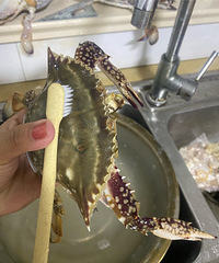 �й����з����-Ǻha