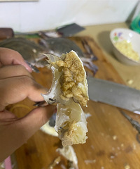 �й����з����-Ǻha