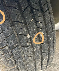 һ���²����Σ���̥Ҳ��������