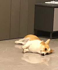 Ѱ����ʾ�ؽ��л��