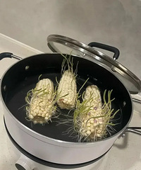 ���׷Ź����������ˣ���֪����ѿ�����׻��ܲ��ܳԣ�