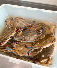 ���Ի���̨��no55������з�����ú�����ջ���װ��