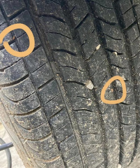 һ���²�����̥����