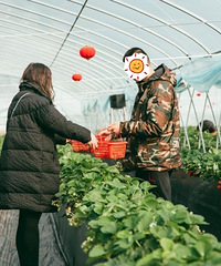 ����ʶ����������ܴ� �Ҹ���С ����һ�иպ�