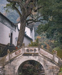 �㽭��Ȼ���������ɹŴ壡���������ְ���