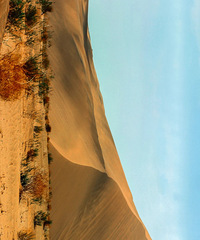 12%�Ĳ�ã�й������������й���ɳĮ���