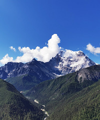 �����Ƕ�