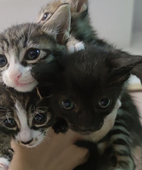 �껨�������������·������������