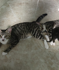 �껨�������������·������������