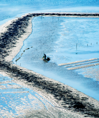 �㽭���ϵ���ĺ����ϳǣ��ƽ𺣰�����ը