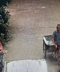 Ѱ�����£��鷳��Ұ�æת��һ�£��ڽ�����������и�����ʧ