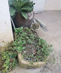 ���ھӼҵ������۶���͵�ˣ�����ֵ����Ǯ��