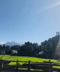 ����С��ʿ�ĸ�����ѩɽ���̲ݣ��һ���俪��������