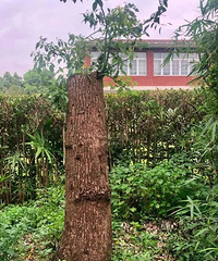 �����޼��Լ������������������14��