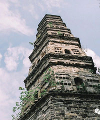 �������ǽ��µ�ǧ���ɲ�����������ģ�