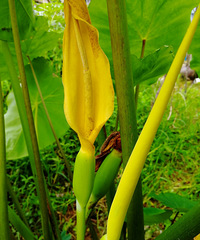 [������]��ͷ������