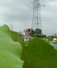 ��ӳºɻ��غɻ�����Ҳ����������7��֮ǰ��������