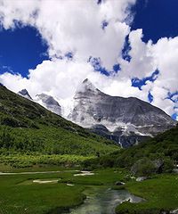 �����Ƕ�