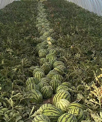 ���ҹ�ũ�����ڸ�����������ؼ������ѵ��������鲻�ã�