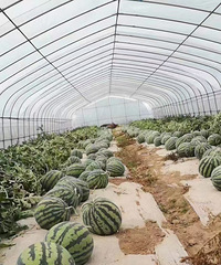 ���ҹ�ũ�����ڸ�����������ؼ������ѵ��������鲻�ã�