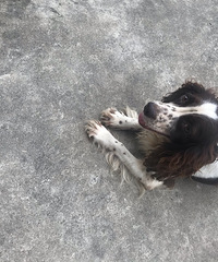 ˭�ҹ�����