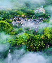 ���ɽ�������ԭʼ�Ŵ��䣬�͵���Ϊ��ʶ