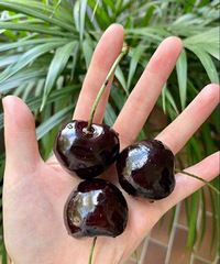 �����������飬�����������ˮ���Ƕ���Ǯһ�