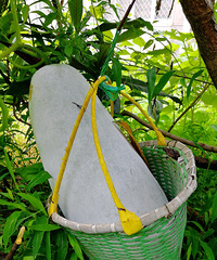 [������]��ɵ�ϡ�������