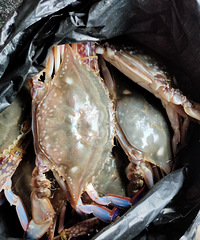 ���۸��᡿�������������õ�����ô�죿