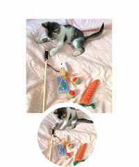 ������ʵ���Ұ״�ӿ������滨���ᣬ��æ��ȥ��ֽ��...