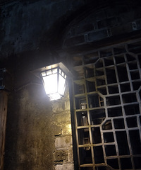 ����ҹ����������