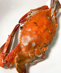 �������϶�����С���㳬�����㣬ȯ��11ֻ����15Ԫ