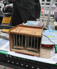 ��ͷ��������ƣ�������ϵ�������ʽ�����˼�����