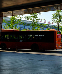 ����ʮ�������Ŷ�