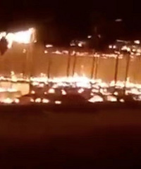 ������������Щ�й���˾����Ϊ�����ˣ�����...