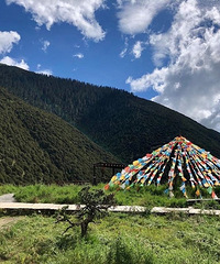 ֻҪ��ĳ������ã����ǵ�F0Ҳ�ܽ���