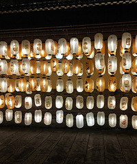 ҹ����������