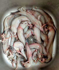 ˮ������Ǯһ���ֻ�����