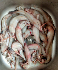 ˮ������Ǯһ���ֻ�����