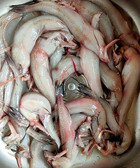 ˮ��2Ԫ/���ֻ�����