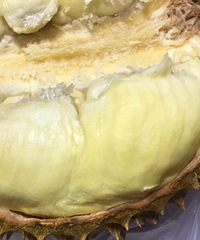 ¥����һ��Ҫˮ��Ҫ�Ե�����Ǯ��