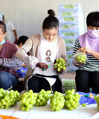 �۸񱩽���300Ԫ/�����10Ԫ/����ˮ��������̳