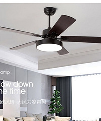 ��Ұ����ȵ�����