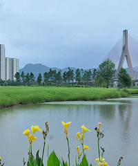 �ٺ�������԰����