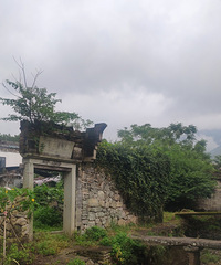 ���ŵ���ȥ��̨�Ĳ�ɽתɽ