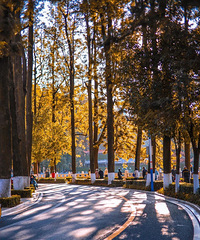 �ȳɶ��������Ⱥ����˾ӣ�������е͵�̫��