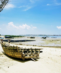 �㶫���棬�����𺳣�������5�����������ĺ���С��