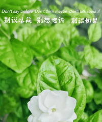 #�ҵĵ����ճ�#�ڴ����죬�ڴ���������