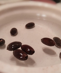 #�ҵĵ����ճ�#�ڴ����죬�ڴ���������