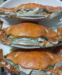 �ʲ��ʿ���Χ